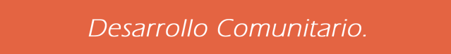 Desarrollo Comunitario1